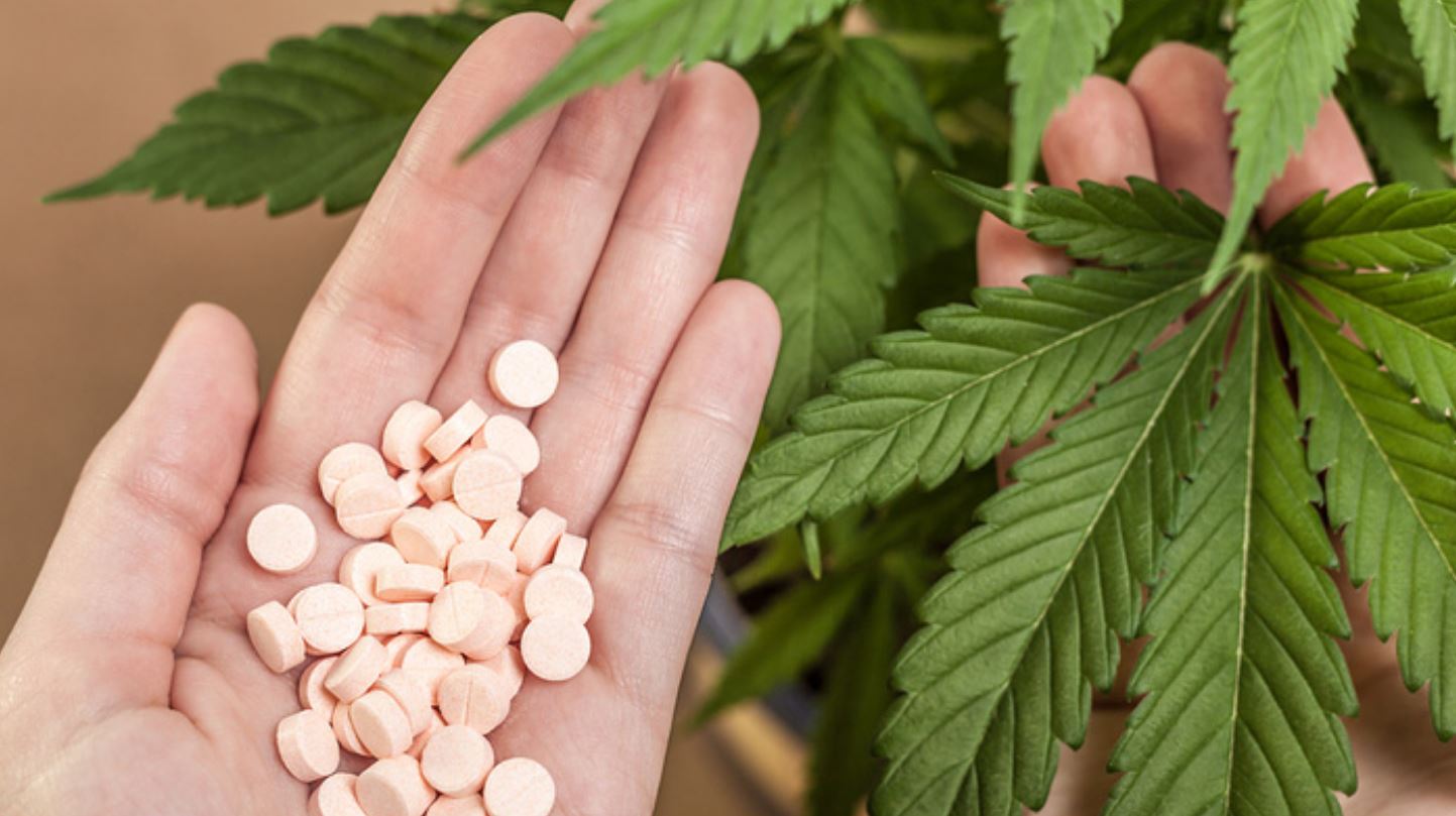 cannabis-big-pharma